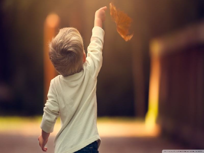 试管代孕医疗环境